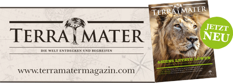 tl_files/kaffaland/00-news/TerraMater_Logo_OF.gif tl_files/kaffaland/00-news/TerraMater_Logo_OF.gif