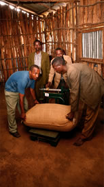 tl_files/kaffaland/projekt/rbbfairhandeln.jpg tl_files/kaffaland/projekt/rbbfairhandeln.jpg