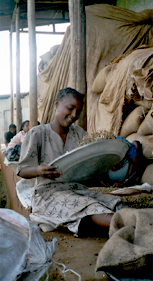 tl_files/kaffaland/projekt/rbbprojekt.png tl_files/kaffaland/projekt/rbbprojekt.png