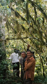 tl_files/kaffaland/regenwald/rbbregenwald2.jpg tl_files/kaffaland/regenwald/rbbregenwald2.jpg