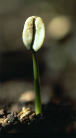 tl_files/kaffaland/ueberuns/rbbvisual.jpg tl_files/kaffaland/ueberuns/rbbvisual.jpg